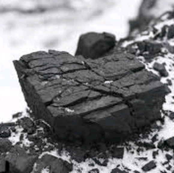 Meet your Posher, Kurt - Picture 1 of 1